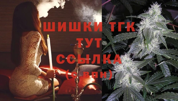мдма Гусев