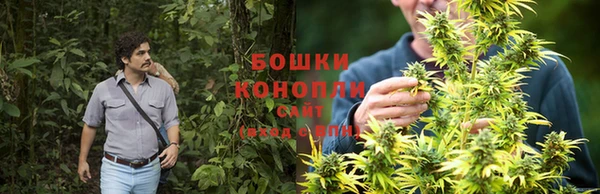 крисы Семилуки