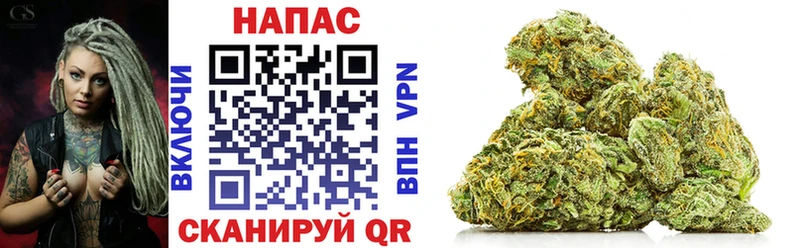 закладка  Новоржев  Марихуана AK-47 